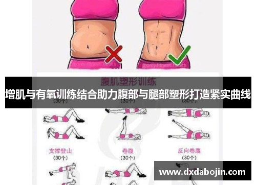 增肌与有氧训练结合助力腹部与腿部塑形打造紧实曲线
