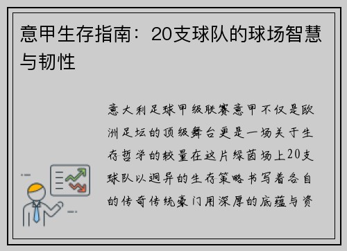 意甲生存指南：20支球队的球场智慧与韧性
